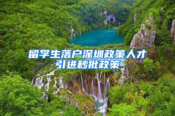 留学生落户深圳政策人才引进秒批政策
