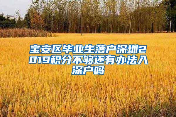 宝安区毕业生落户深圳2019积分不够还有办法入深户吗