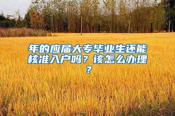 年的应届大专毕业生还能核准入户吗？该怎么办理？