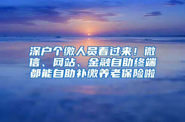 深户个缴人员看过来！微信、网站、金融自助终端都能自助补缴养老保险啦