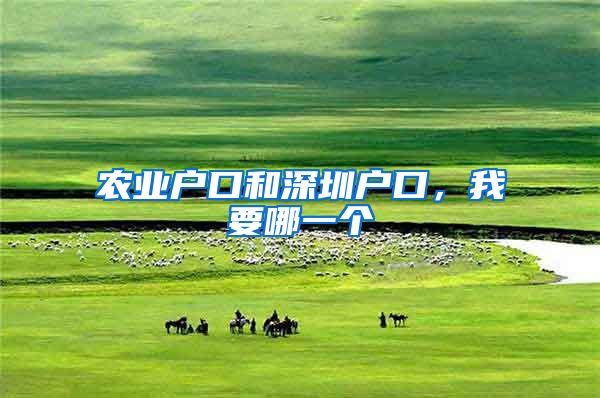农业户口和深圳户口，我要哪一个