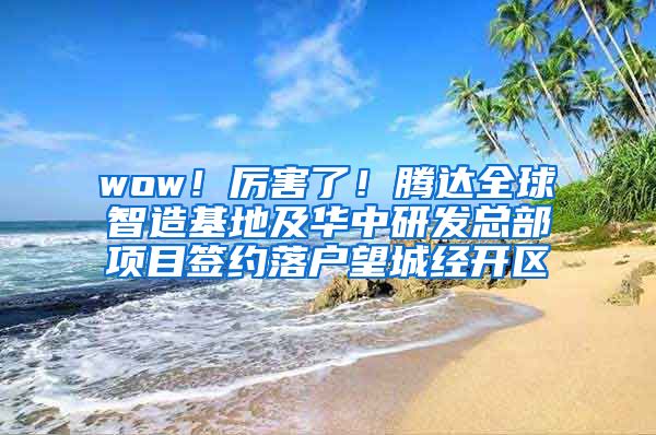 wow！厉害了！腾达全球智造基地及华中研发总部项目签约落户望城经开区