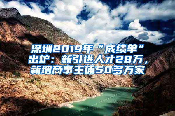 深圳2019年“成绩单”出炉：新引进人才28万，新增商事主体50多万家