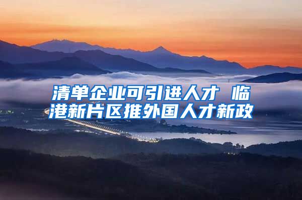 清单企业可引进人才 临港新片区推外国人才新政