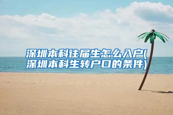 深圳本科往届生怎么入户(深圳本科生转户口的条件)
