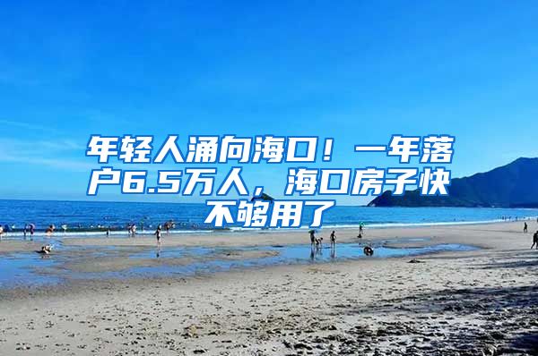 年轻人涌向海口！一年落户6.5万人，海口房子快不够用了