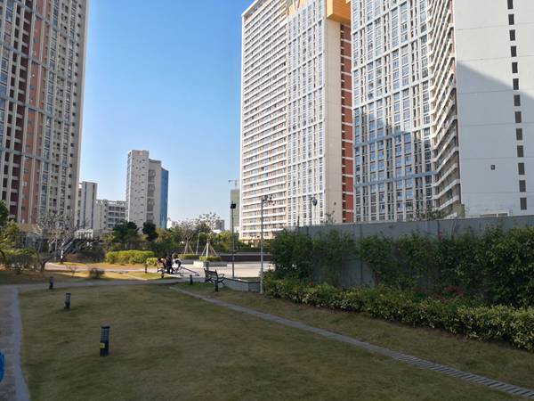应届毕业生怎么入深圳户口