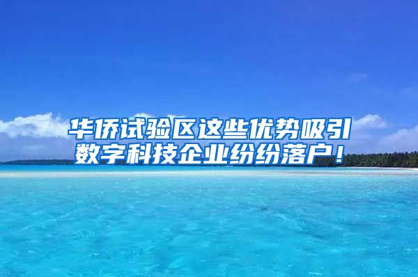 华侨试验区这些优势吸引数字科技企业纷纷落户！