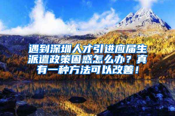 遇到深圳人才引进应届生派遣政策困惑怎么办？真有一种方法可以改善！