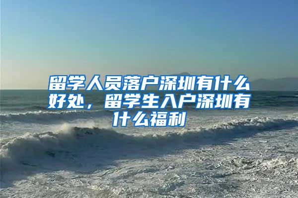 留学人员落户深圳有什么好处，留学生入户深圳有什么福利
