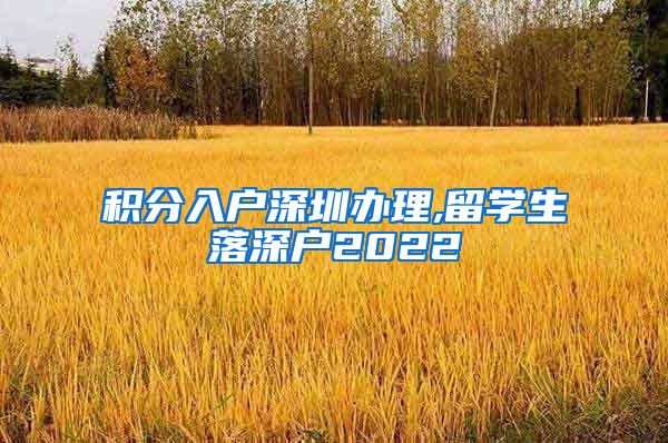 积分入户深圳办理,留学生落深户2022
