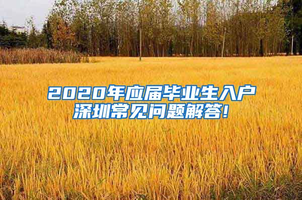 2020年应届毕业生入户深圳常见问题解答!