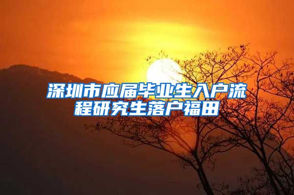 深圳市应届毕业生入户流程研究生落户福田
