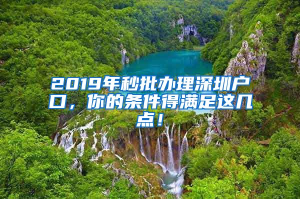 2019年秒批办理深圳户口，你的条件得满足这几点！