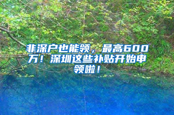 非深户也能领，最高600万！深圳这些补贴开始申领啦！