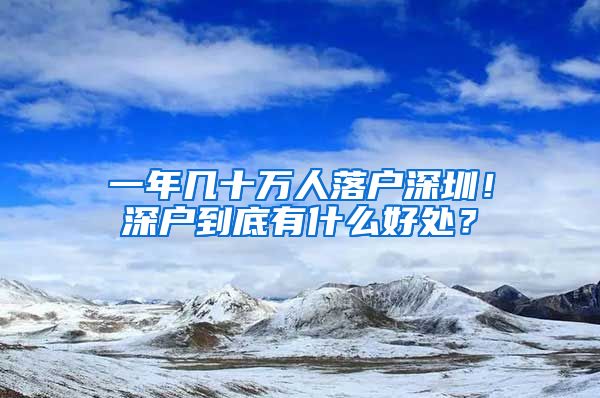 一年几十万人落户深圳！深户到底有什么好处？