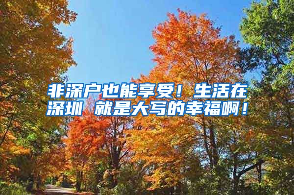 非深户也能享受！生活在深圳 就是大写的幸福啊！
