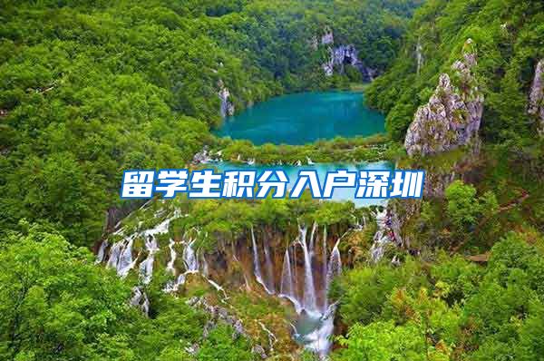 留学生积分入户深圳