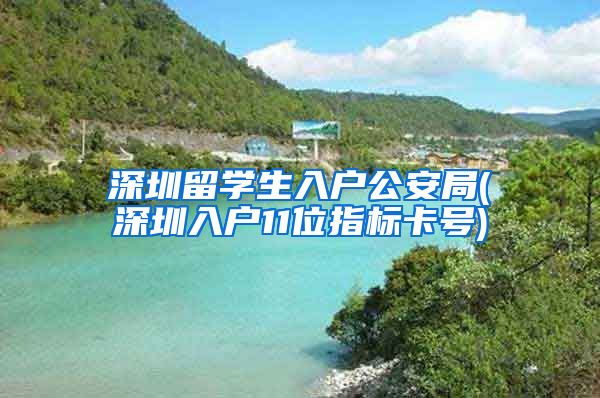深圳留学生入户公安局(深圳入户11位指标卡号)
