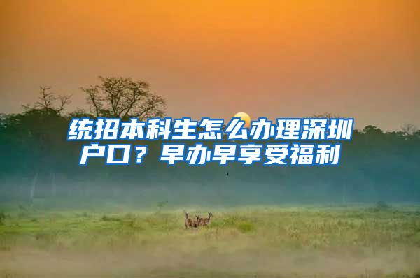 统招本科生怎么办理深圳户口？早办早享受福利