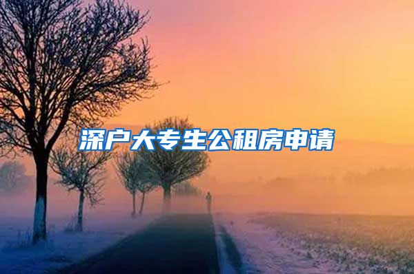 深户大专生公租房申请