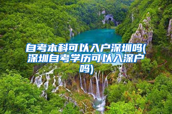 自考本科可以入户深圳吗(深圳自考学历可以入深户吗)