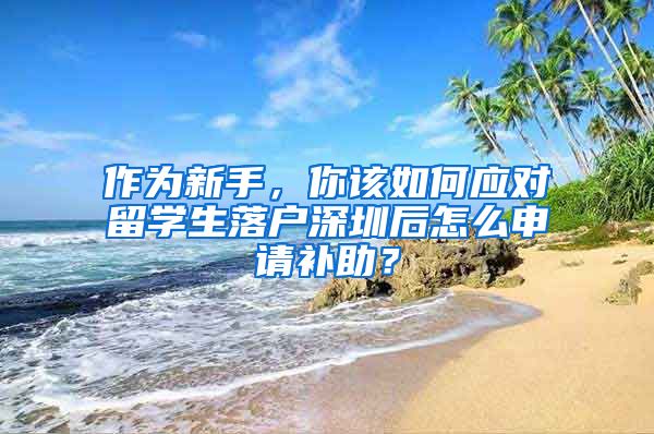作为新手，你该如何应对留学生落户深圳后怎么申请补助？
