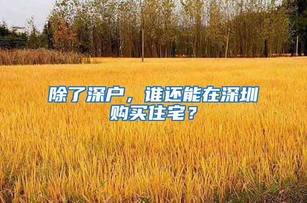 除了深户，谁还能在深圳购买住宅？