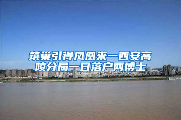 筑巢引得凤凰来一西安高陵分局一日落户两博士