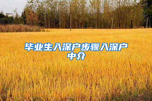 毕业生入深户步骤入深户中介