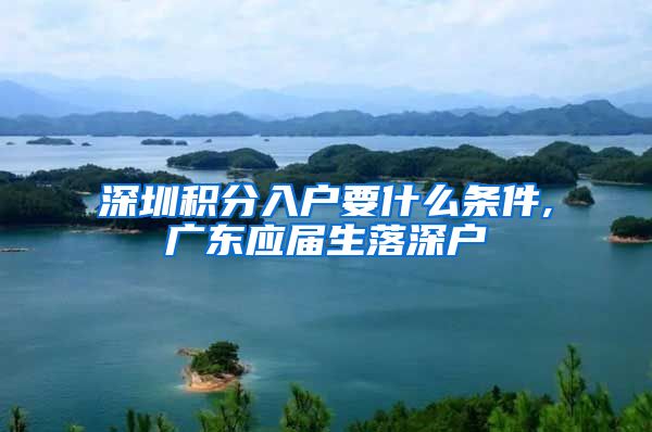 深圳积分入户要什么条件,广东应届生落深户