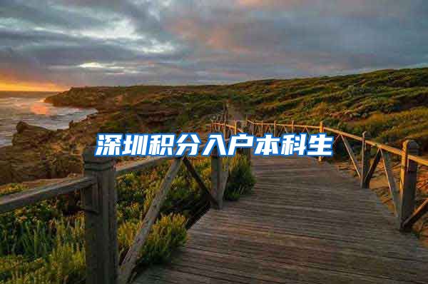 深圳积分入户本科生