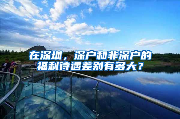 在深圳，深户和非深户的福利待遇差别有多大？