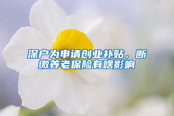 深户为申请创业补贴，断缴养老保险有啥影响