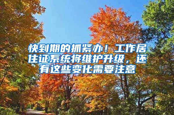 快到期的抓紧办！工作居住证系统将维护升级，还有这些变化需要注意