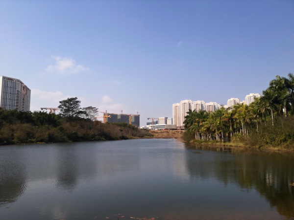 深圳市毕业生入户热线