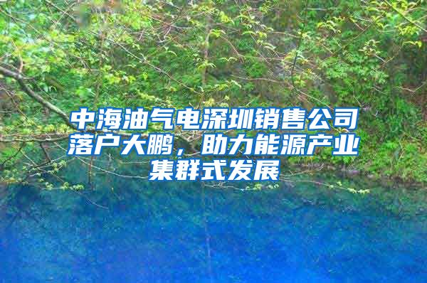 中海油气电深圳销售公司落户大鹏，助力能源产业集群式发展