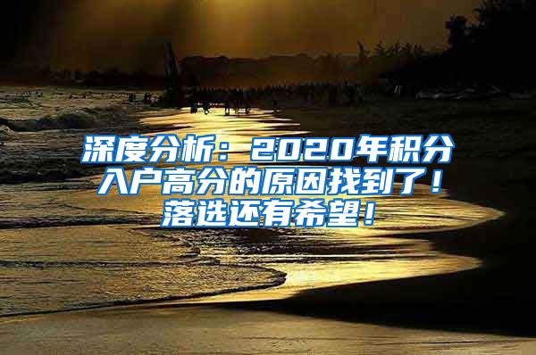 深度分析：2020年积分入户高分的原因找到了！落选还有希望！