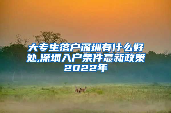 大专生落户深圳有什么好处,深圳入户条件蕞新政策2022年