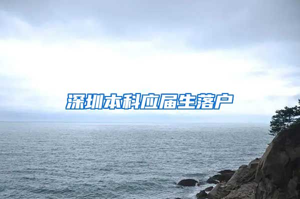 深圳本科应届生落户