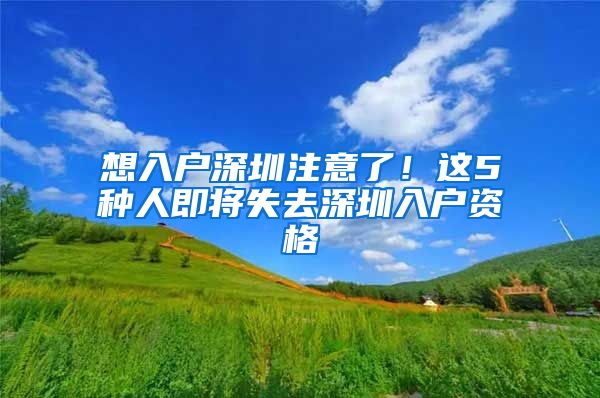 想入户深圳注意了！这5种人即将失去深圳入户资格
