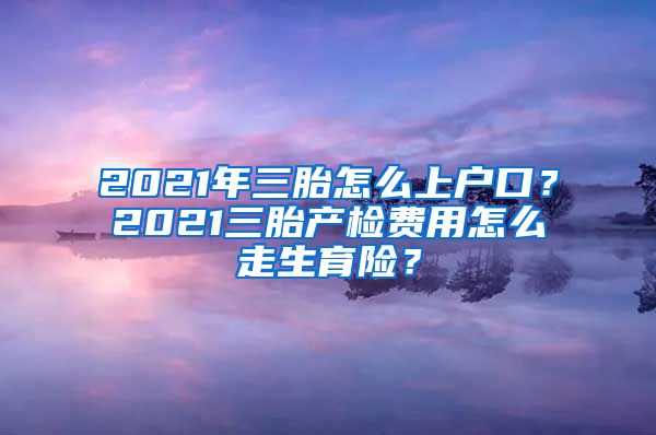 2021年三胎怎么上户口？2021三胎产检费用怎么走生育险？