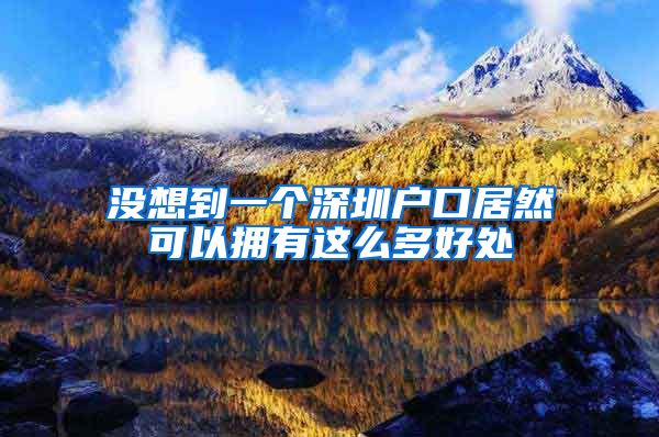 没想到一个深圳户口居然可以拥有这么多好处