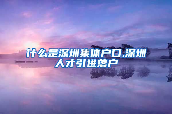 什么是深圳集体户口,深圳人才引进落户