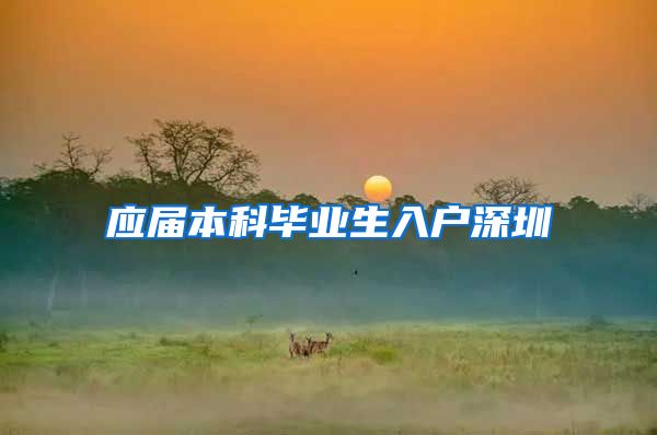 应届本科毕业生入户深圳
