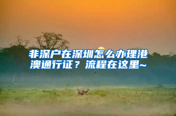 非深户在深圳怎么办理港澳通行证？流程在这里~