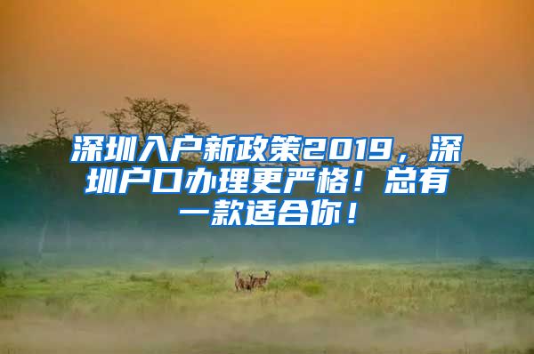 深圳入户新政策2019，深圳户口办理更严格！总有一款适合你！
