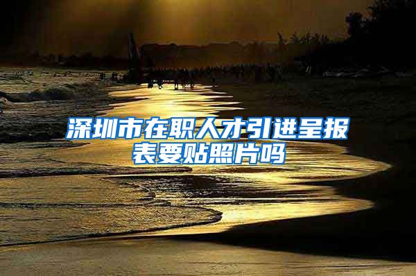 深圳市在职人才引进呈报表要贴照片吗