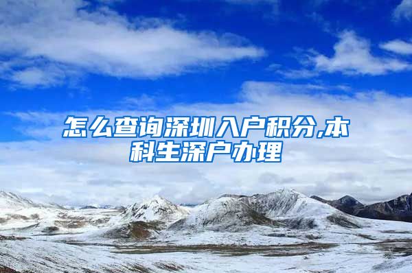 怎么查询深圳入户积分,本科生深户办理