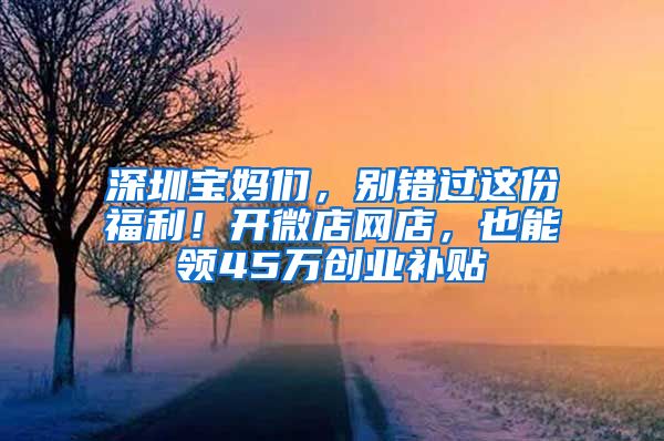 深圳宝妈们，别错过这份福利！开微店网店，也能领45万创业补贴